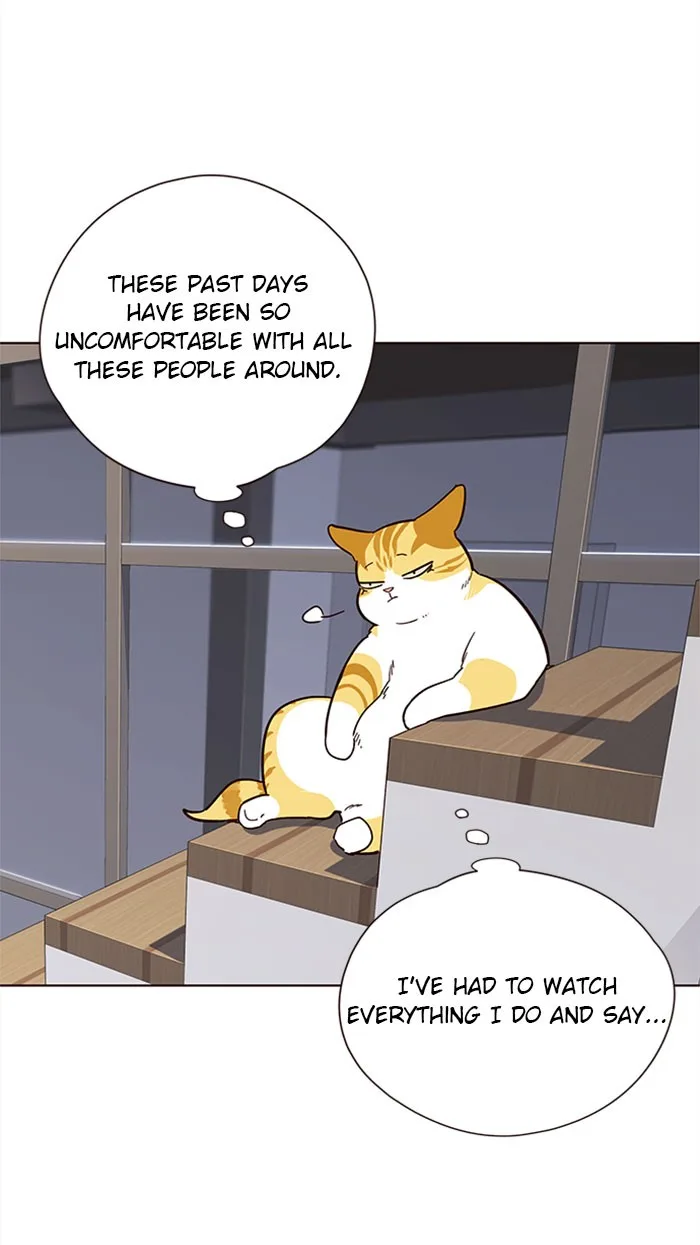 Eleceed - Chapter 35 - Page 42