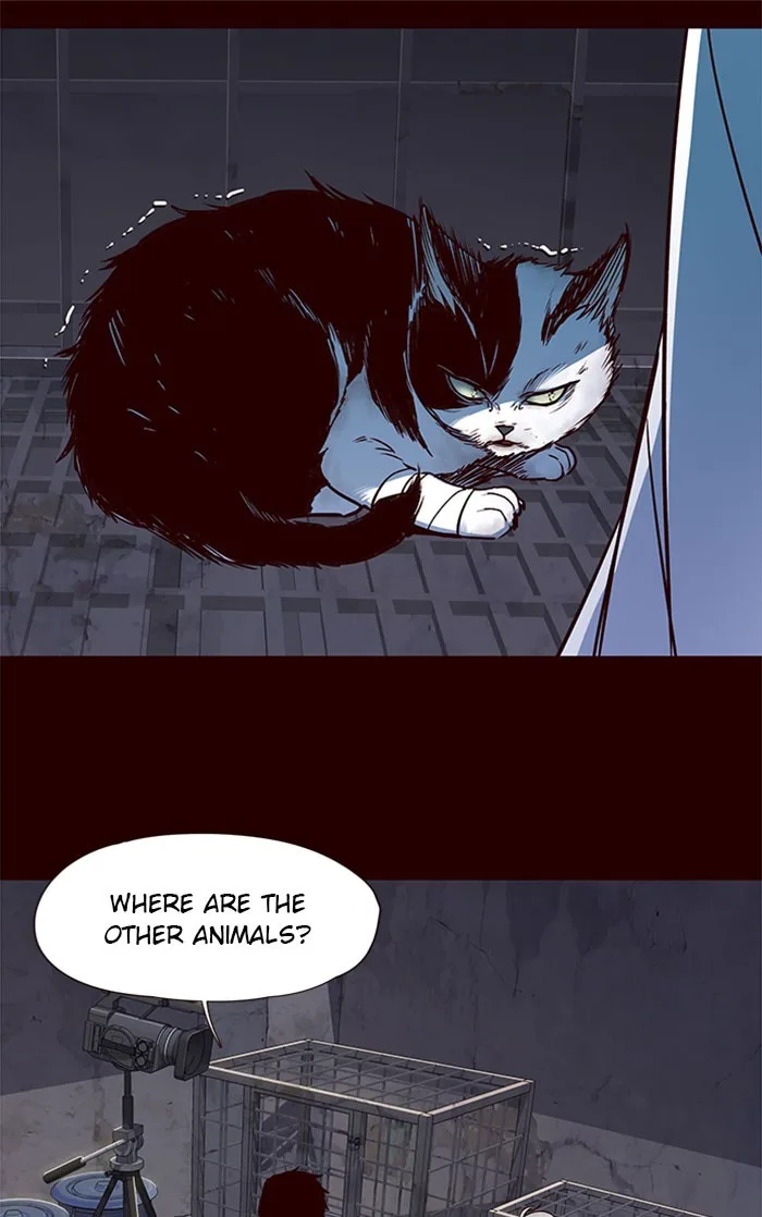 Eleceed - Chapter 36 - Page 10