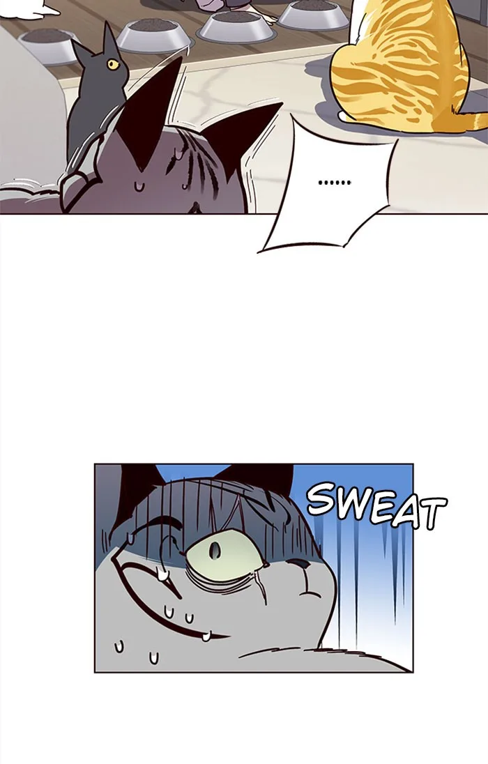 Eleceed - Chapter 37 - Page 33