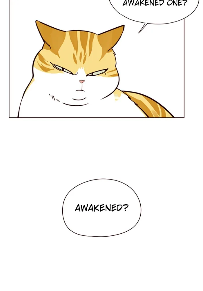Eleceed - Chapter 4 - Page 31