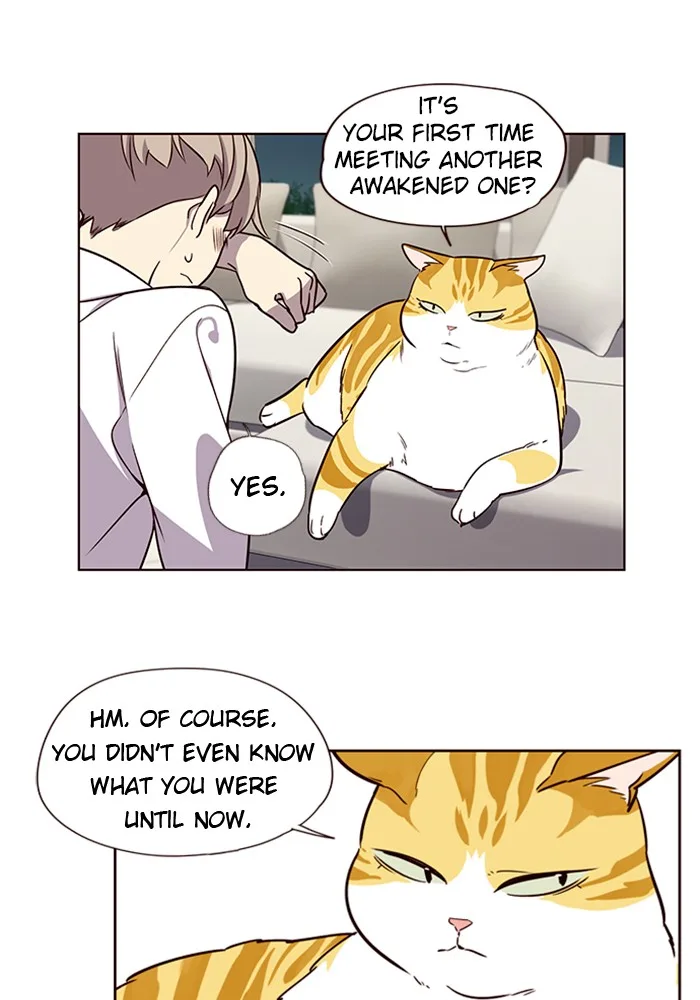 Eleceed - Chapter 4 - Page 49
