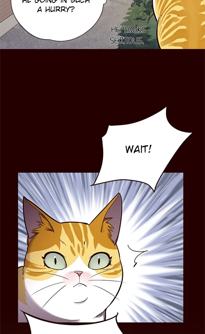 Eleceed - Chapter 52 - Page 40