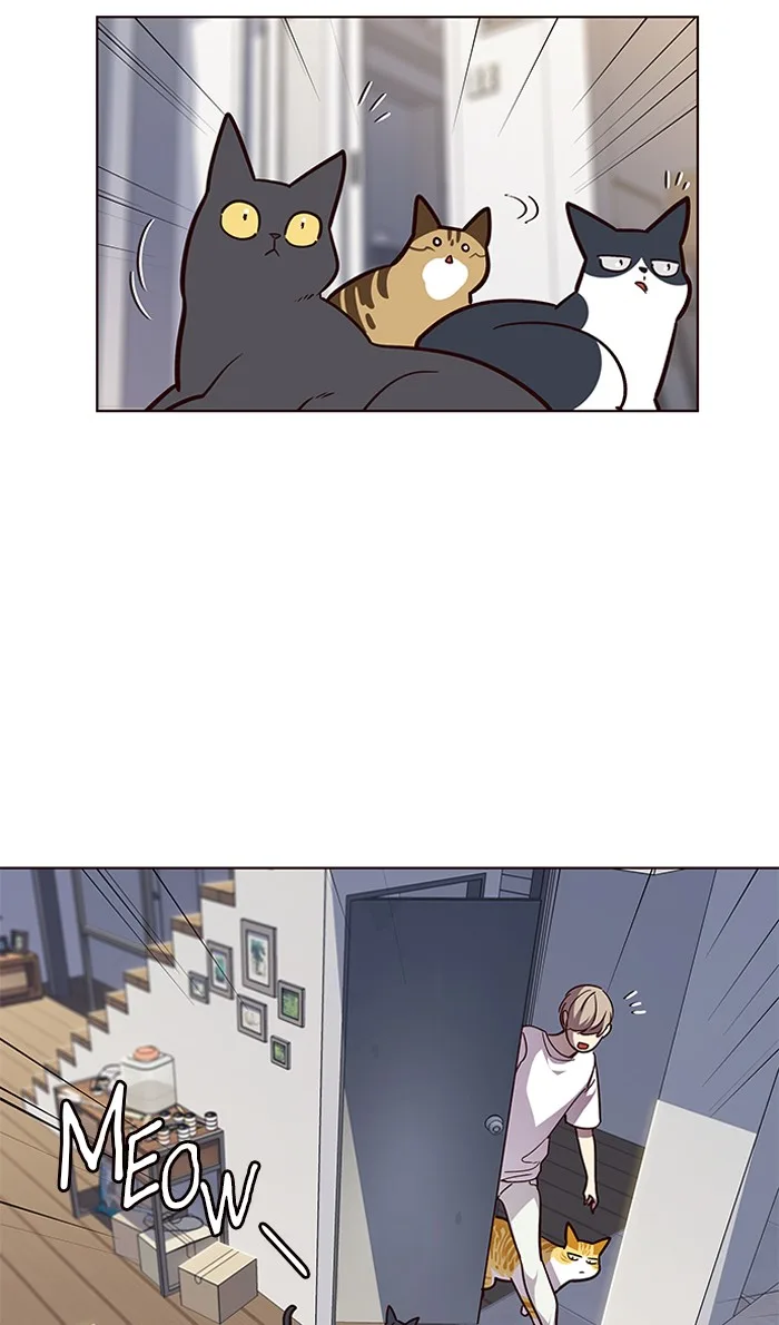 Eleceed - Chapter 55 - Page 11