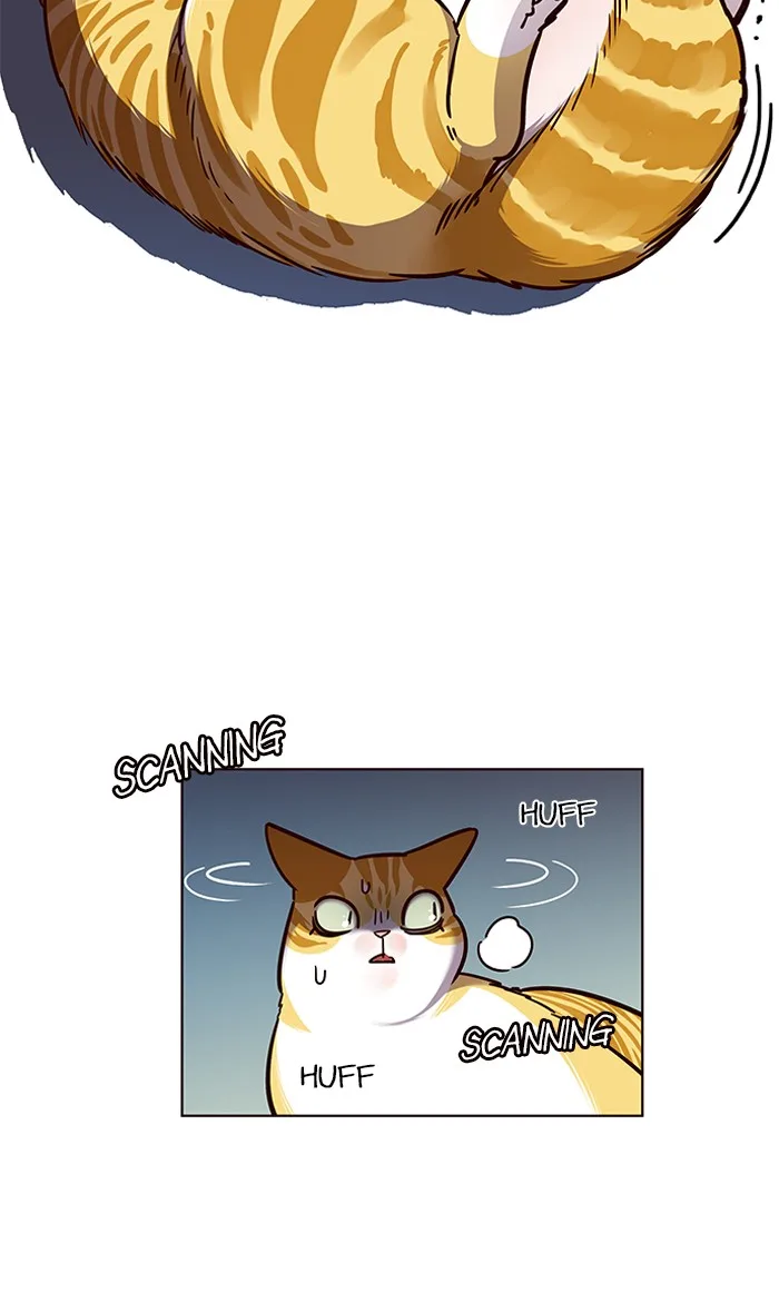 Eleceed - Chapter 56 - Page 15