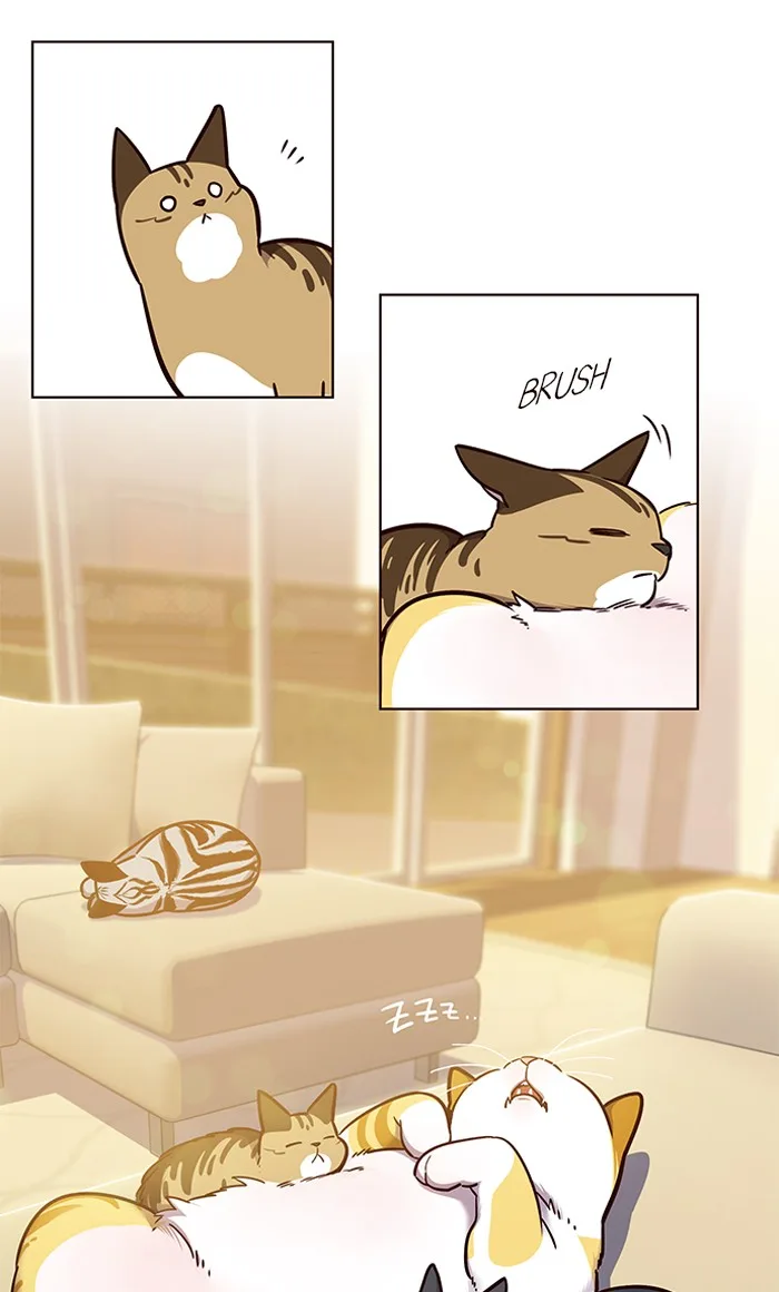 Eleceed - Chapter 56 - Page 21