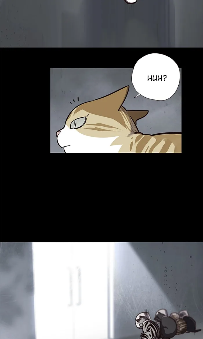 Eleceed - Chapter 56 - Page 3