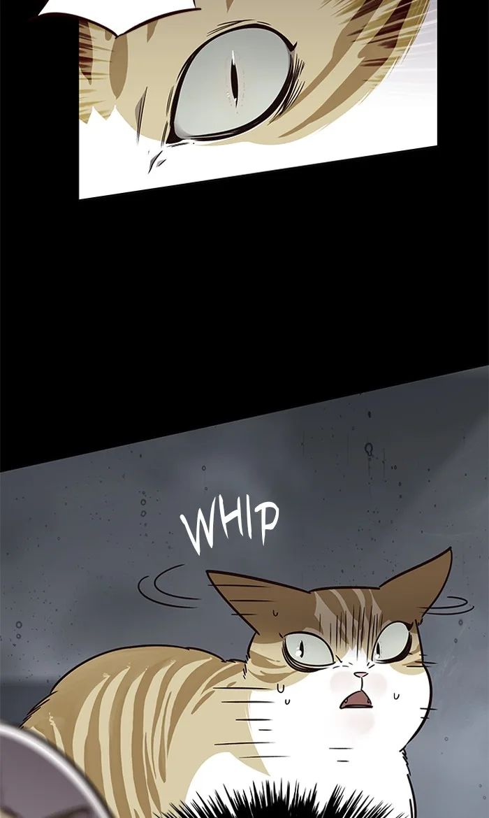 Eleceed - Chapter 56 - Page 9