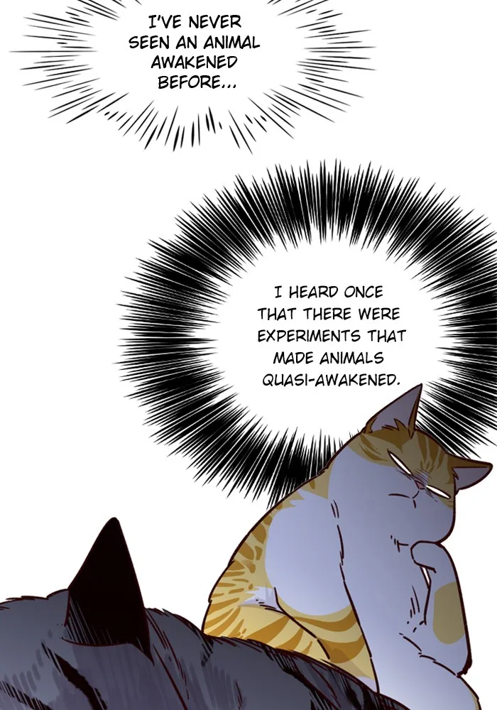 Eleceed - Chapter 6 - Page 12