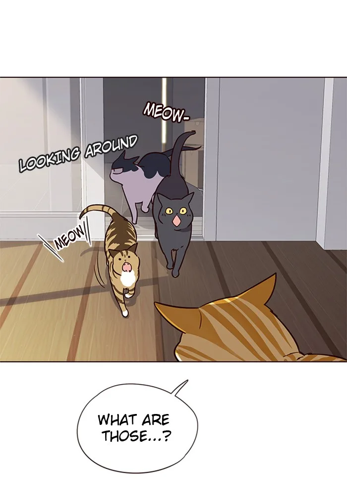 Eleceed - Chapter 6 - Page 62