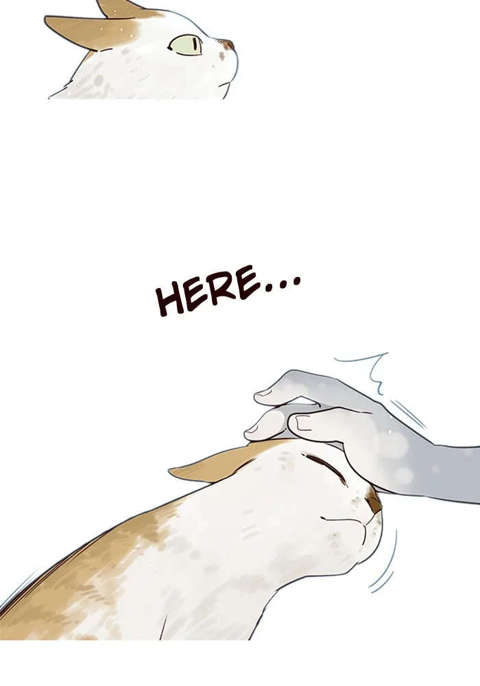 Eleceed - Chapter 7 - Page 23