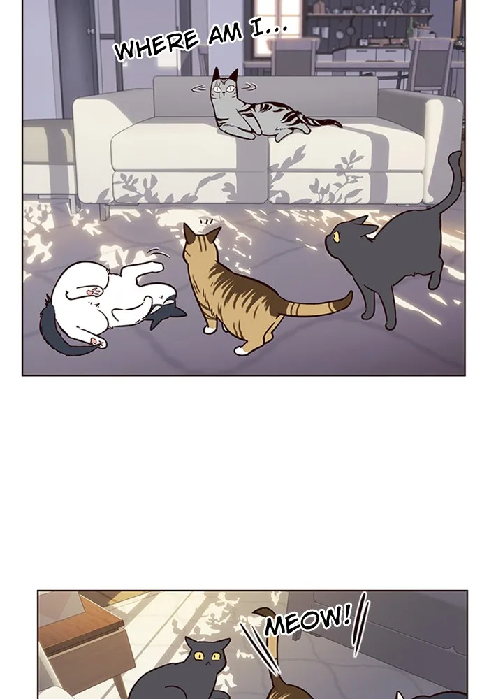 Eleceed - Chapter 7 - Page 66