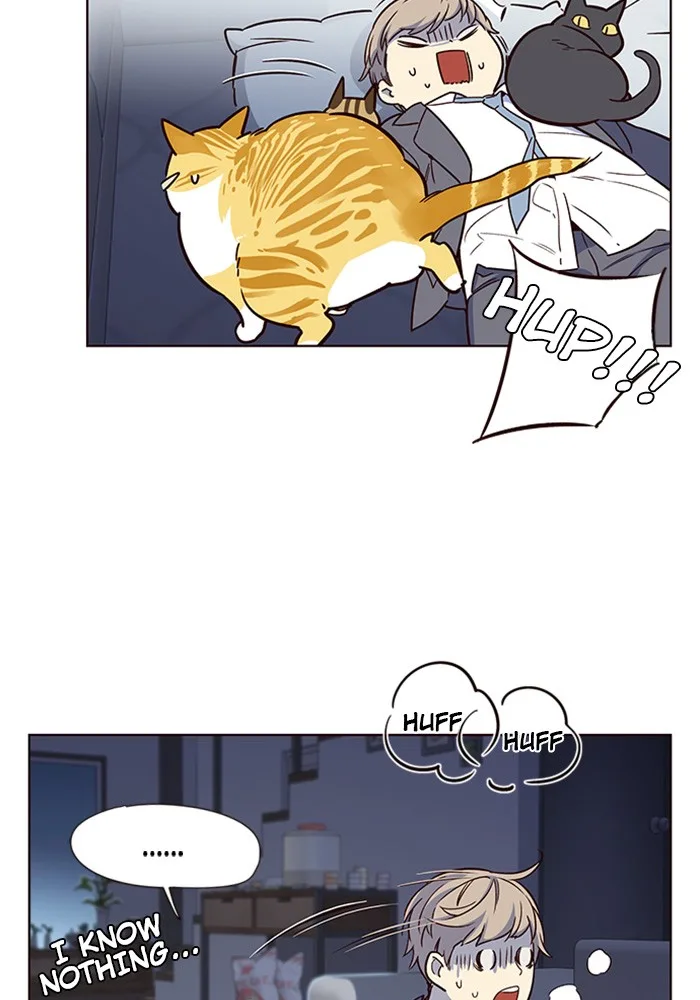 Eleceed - Chapter 8 - Page 51