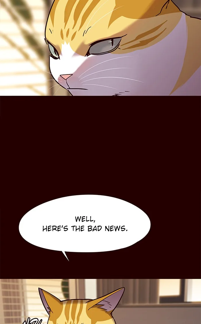 Eleceed - Chapter 96 - Page 14