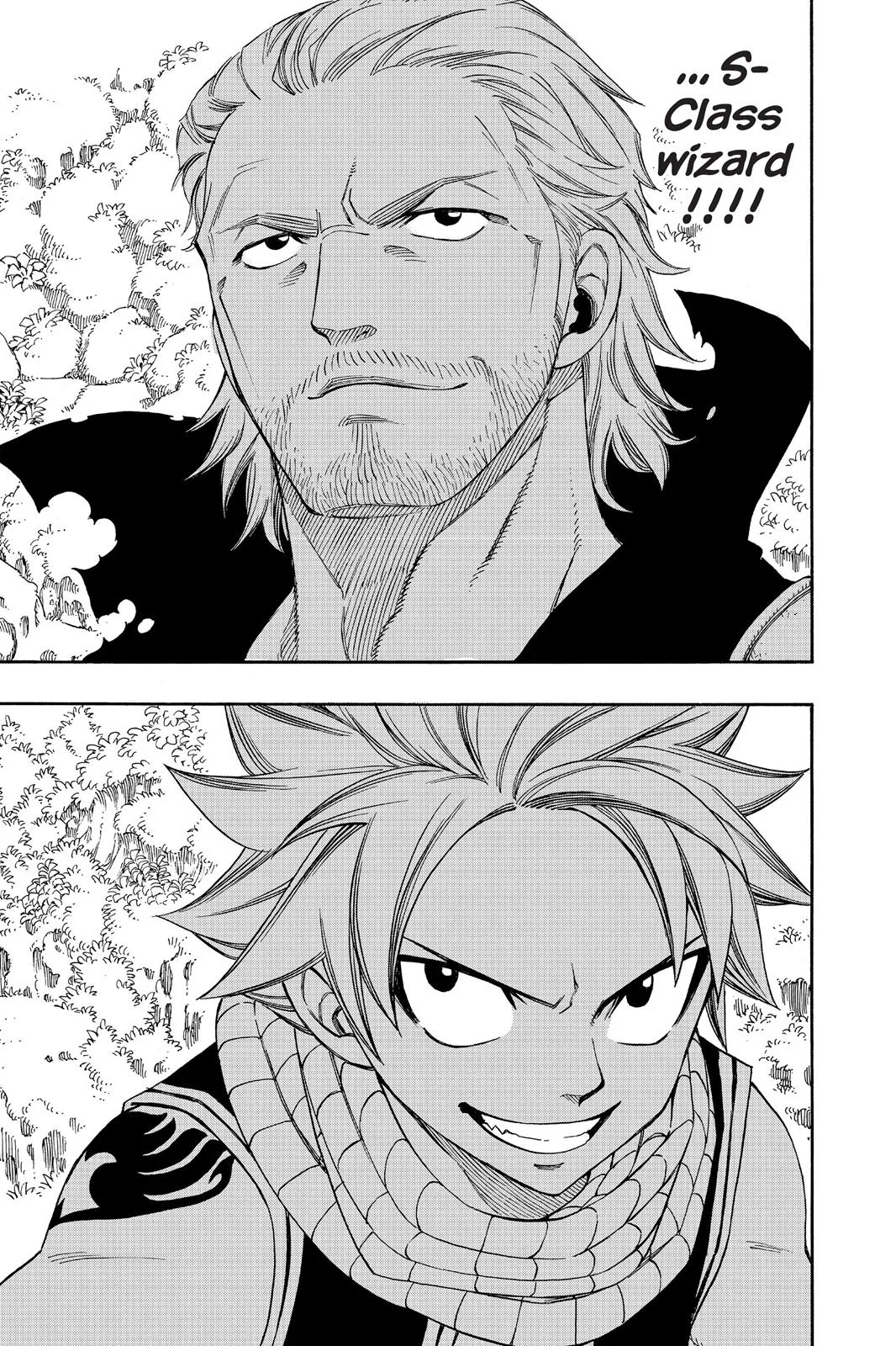 Fairy Tail - Chapter 205 - Page 11
