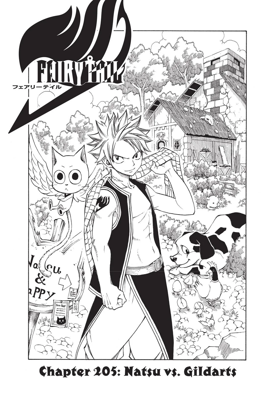 Fairy Tail - Chapter 205 - Page 5