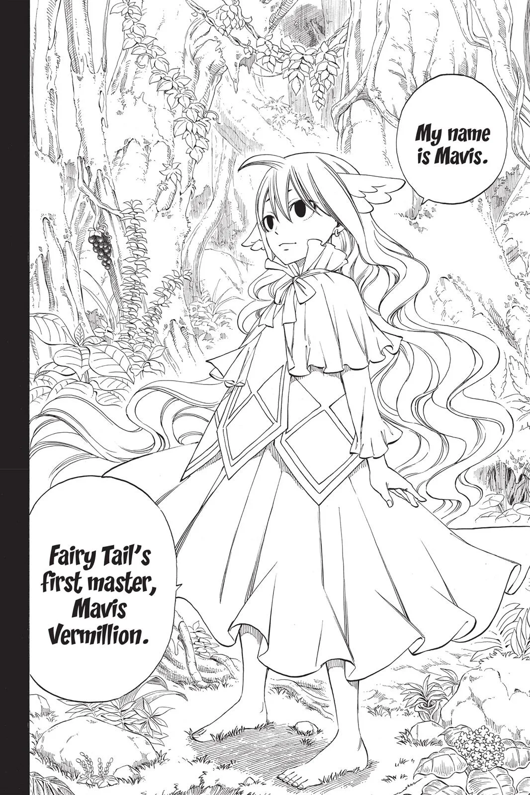 Fairy Tail - Chapter 255 - Page 15
