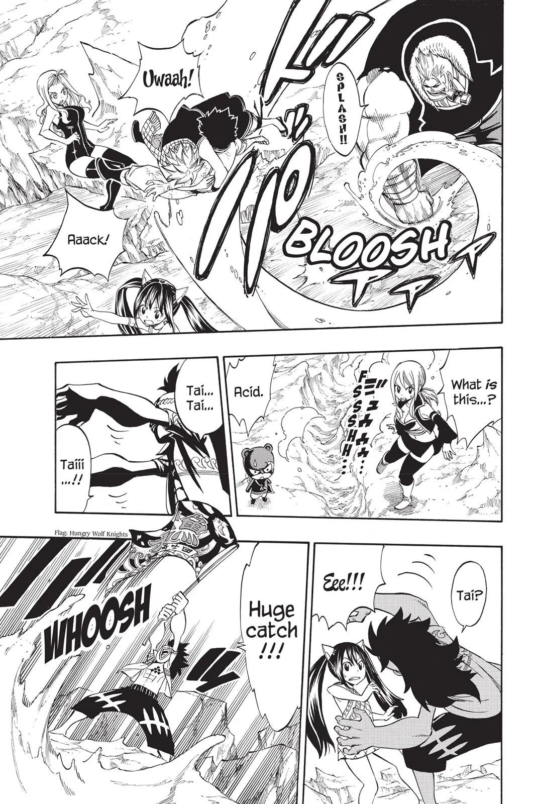 Fairy Tail - Chapter 307 - Page 15