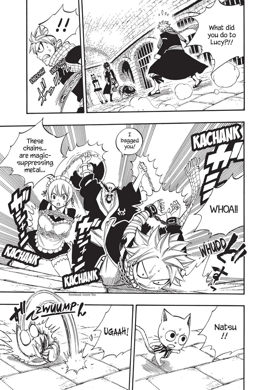 Fairy Tail - Chapter 428 - Page 13