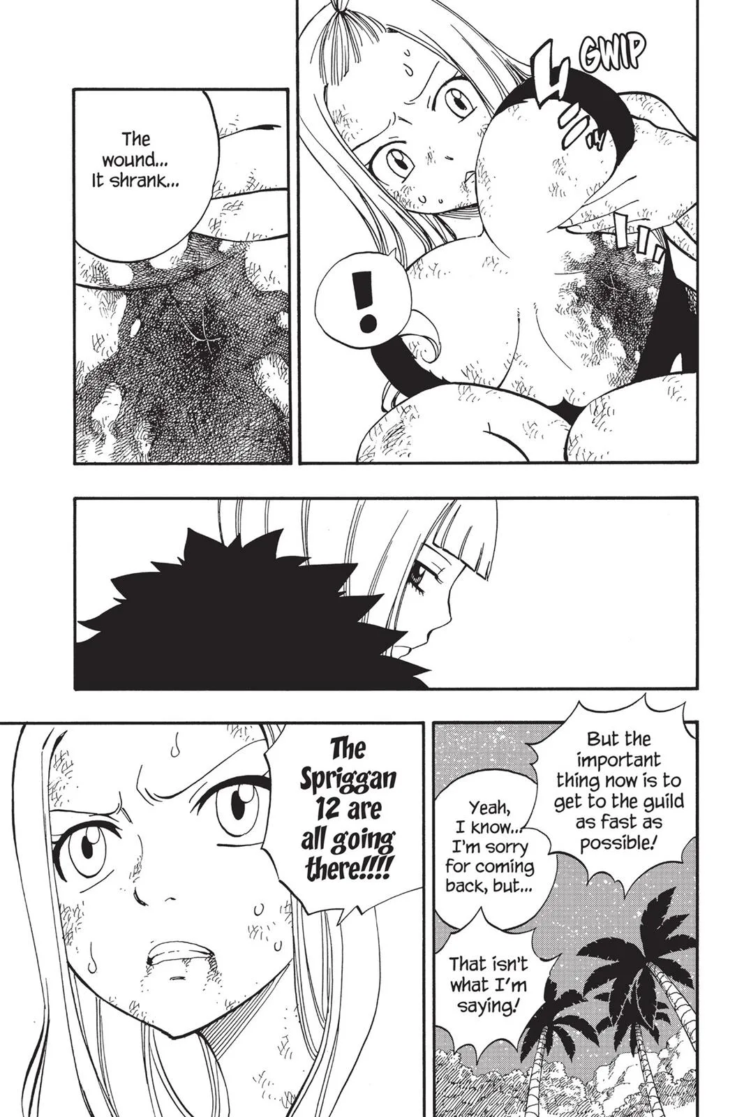 Fairy Tail - Chapter 493 - Page 17