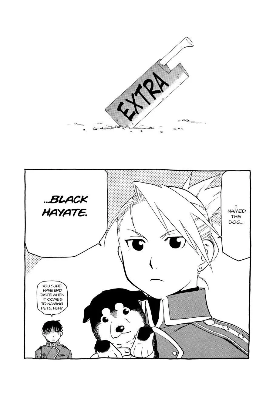 Fullmetal Alchemist - Chapter 16.5 - Page 11