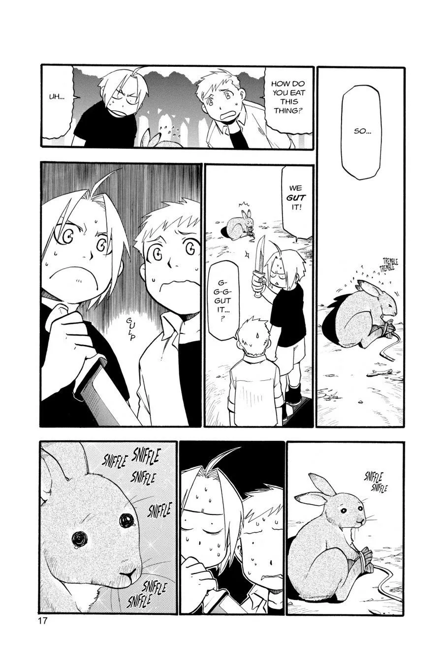 Fullmetal Alchemist - Chapter 22 - Page 17