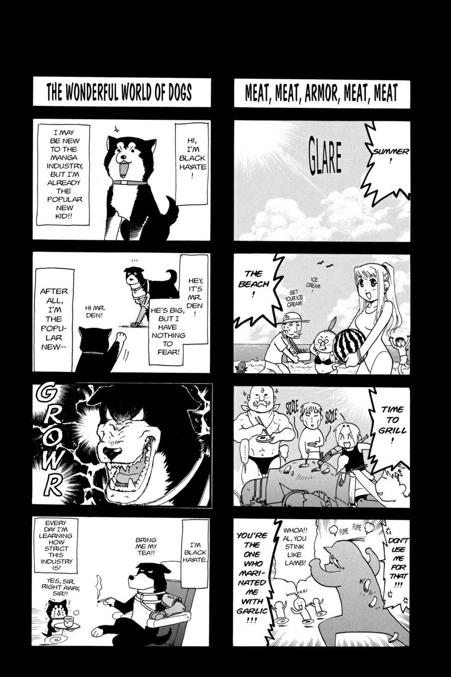 Fullmetal Alchemist - Chapter 33.5 - Page 12
