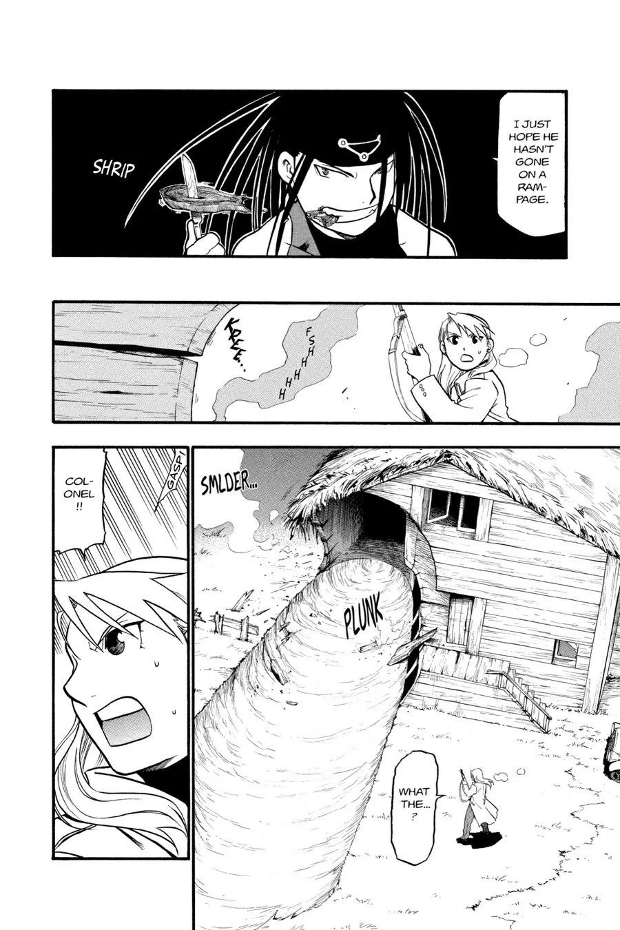 Fullmetal Alchemist - Chapter 49 - Page 15