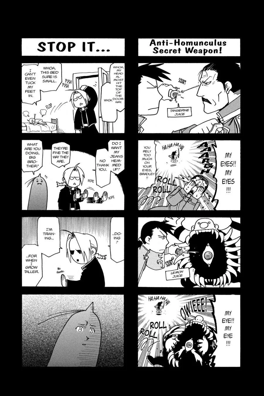 Fullmetal Alchemist - Chapter 49 - Page 43
