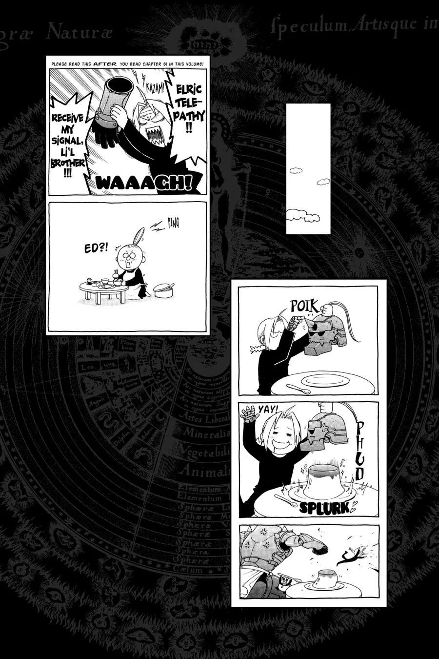 Fullmetal Alchemist - Chapter 53 - Page 48