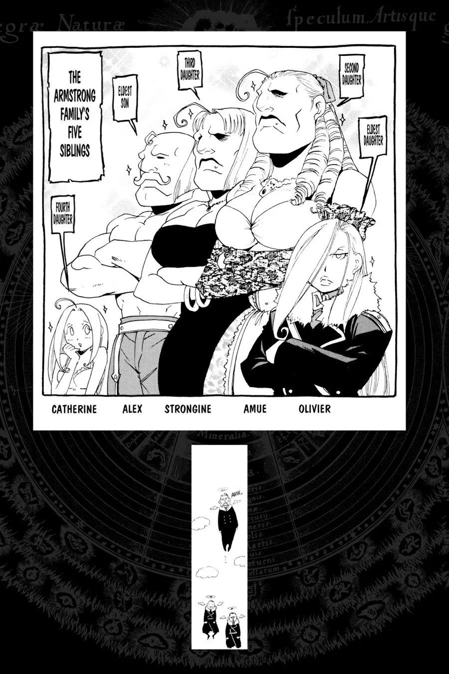 Fullmetal Alchemist - Chapter 69 - Page 49