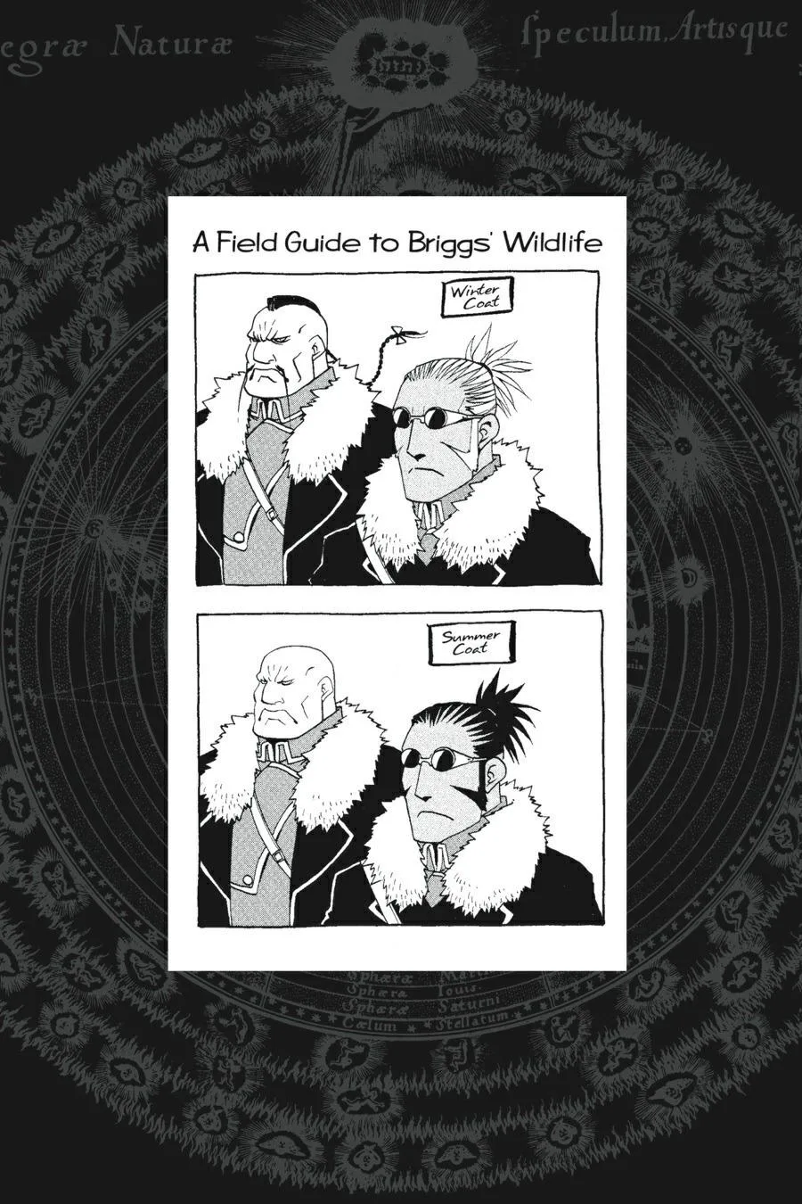 Fullmetal Alchemist - Chapter 78 - Page 36
