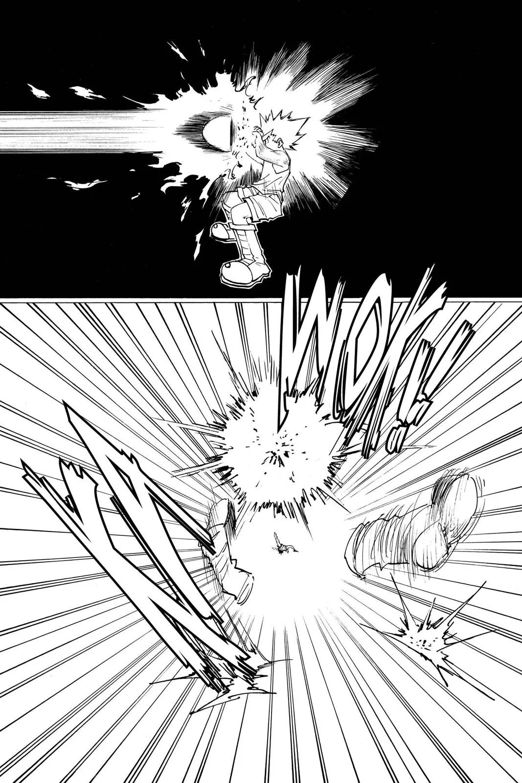 Hunter x Hunter - Chapter 163 - Page 9