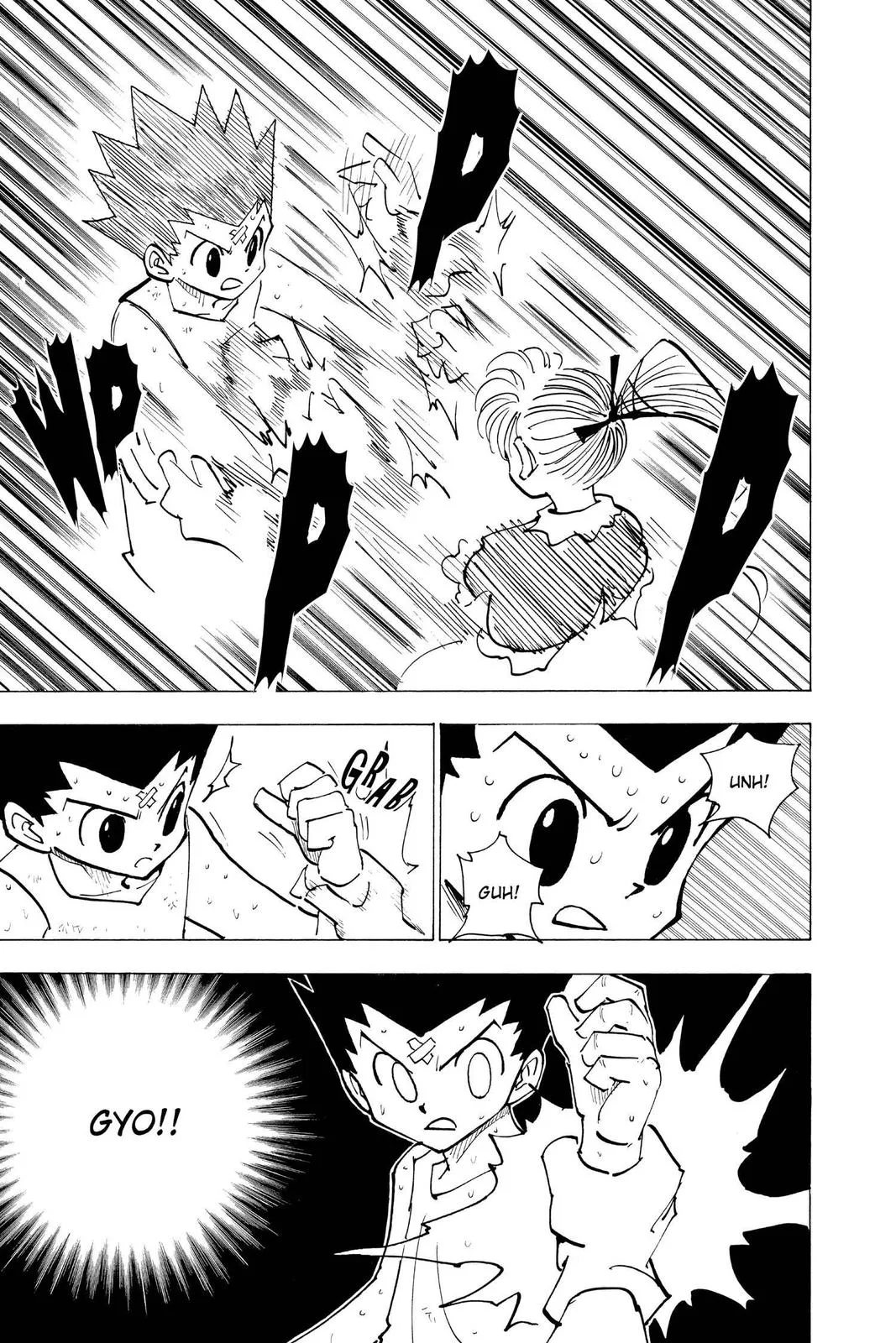 Hunter x Hunter - Chapter 171 - Page 5