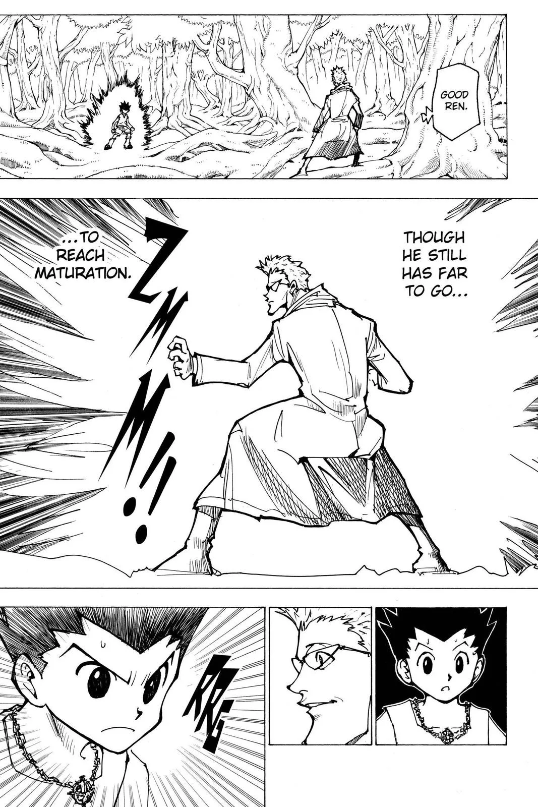 Hunter x Hunter - Chapter 176 - Page 13