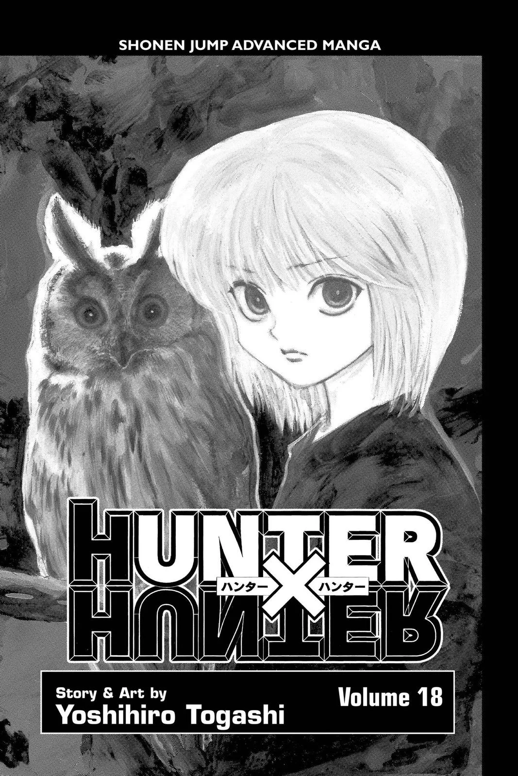 Hunter x Hunter - Chapter 176 - Page 4