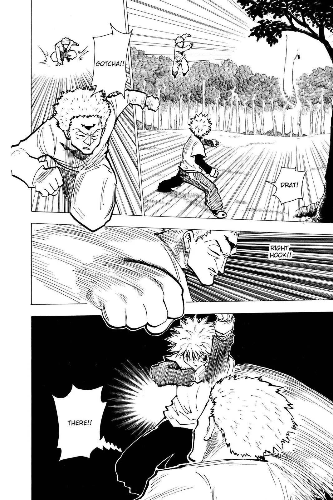 Hunter x Hunter - Chapter 178 - Page 10