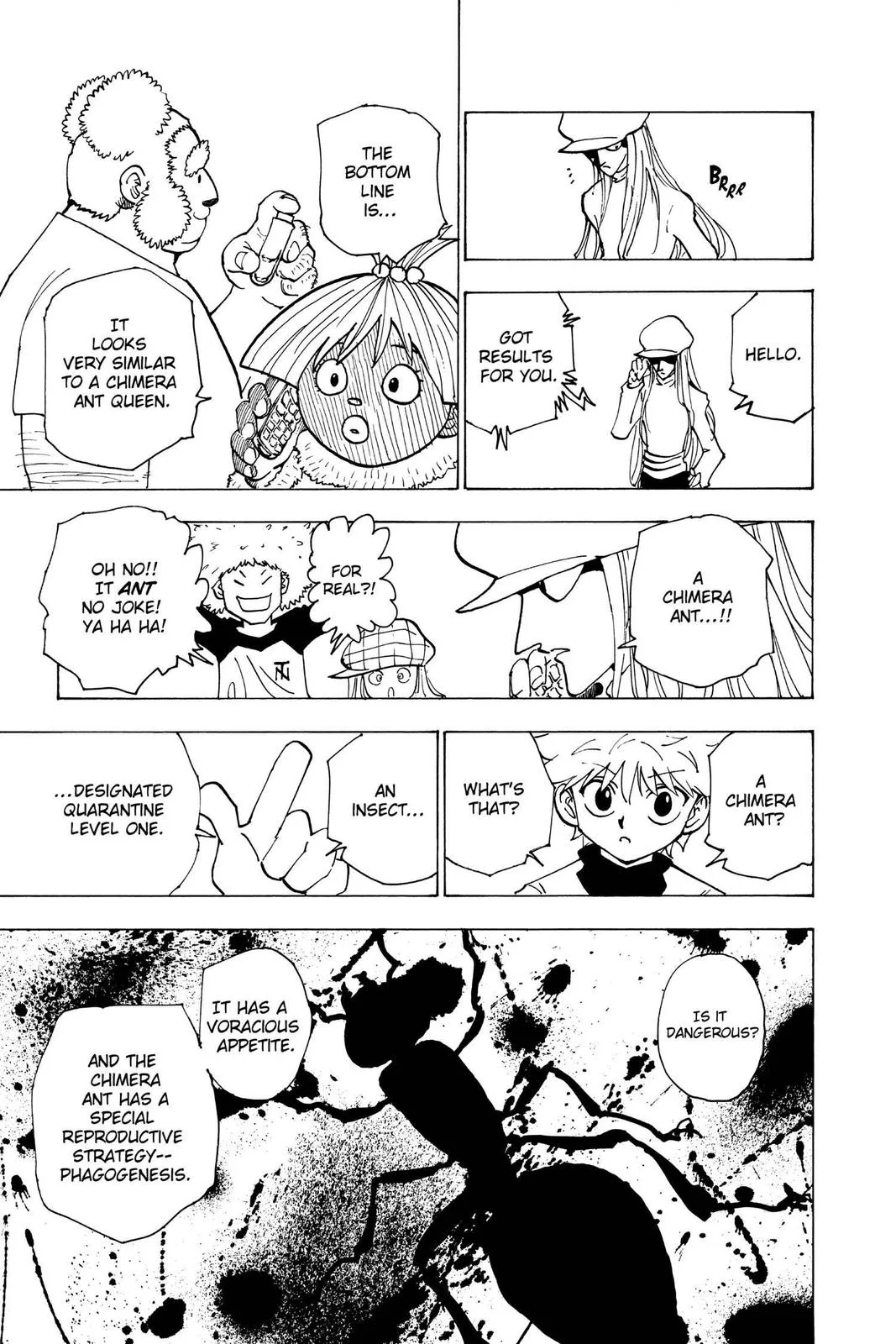 Hunter x Hunter - Chapter 187 - Page 11