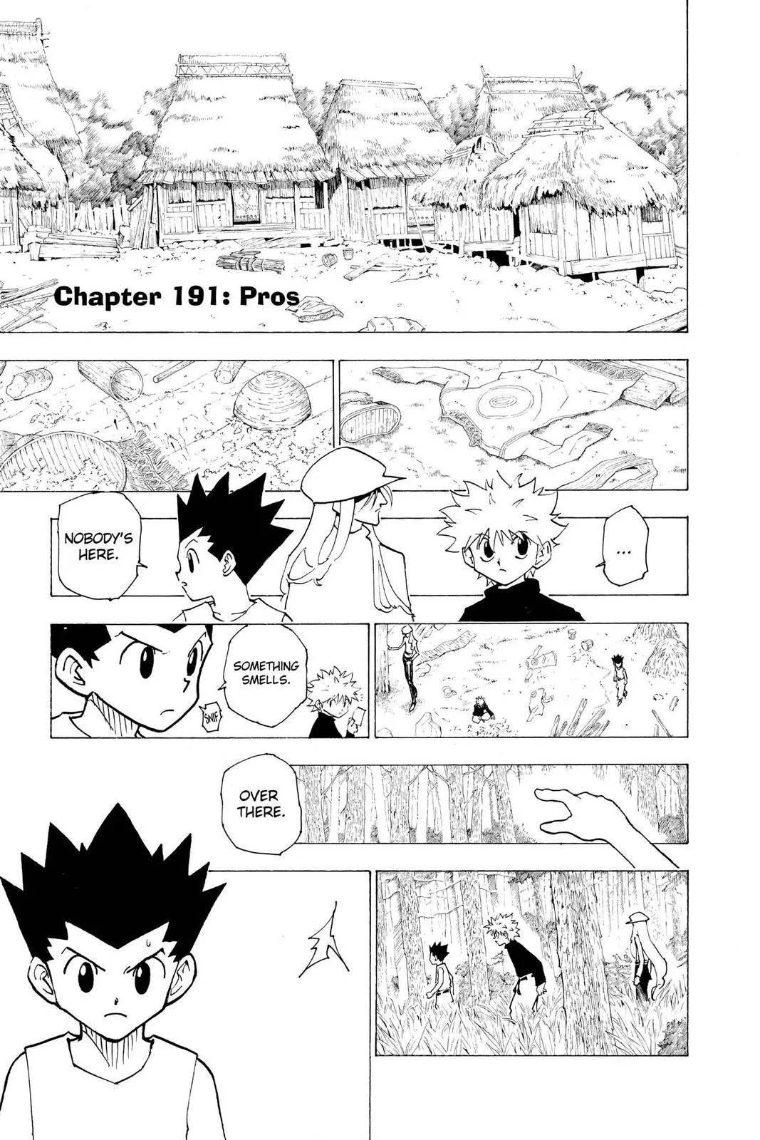 Hunter x Hunter - Chapter 191 - Page 1