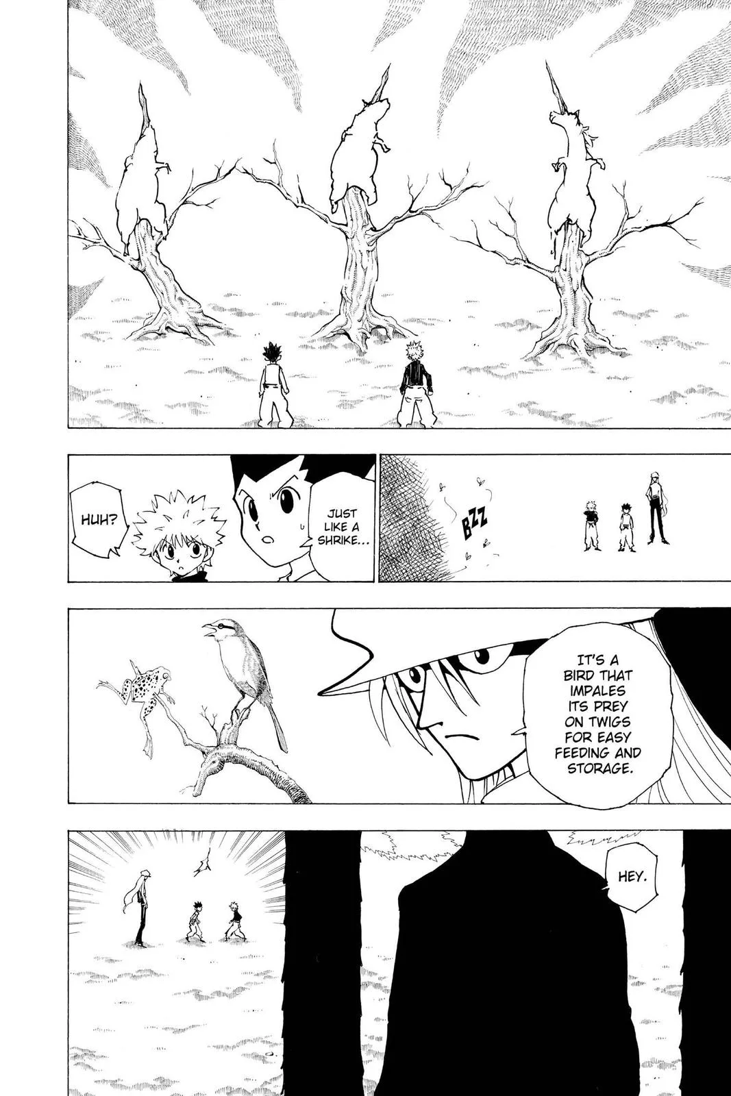 Hunter x Hunter - Chapter 191 - Page 2
