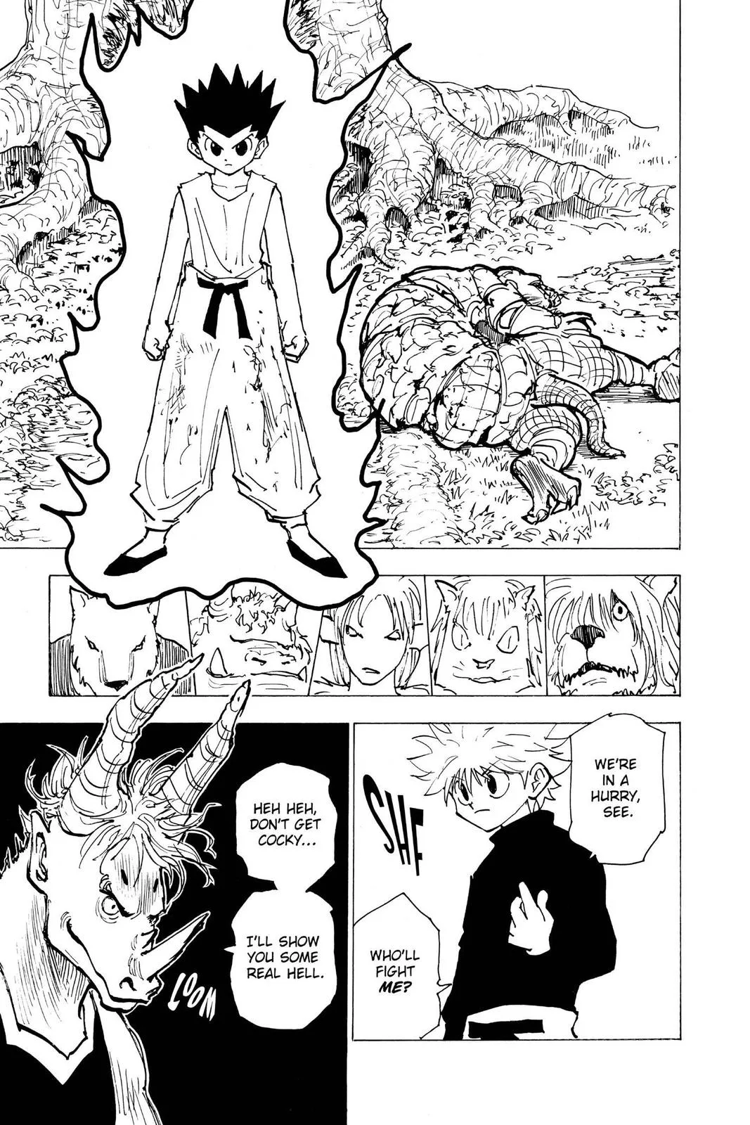 Hunter x Hunter - Chapter 195 - Page 14