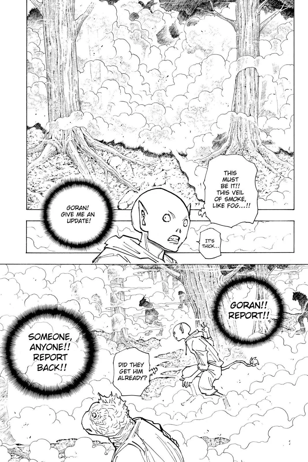 Hunter x Hunter - Chapter 205 - Page 11