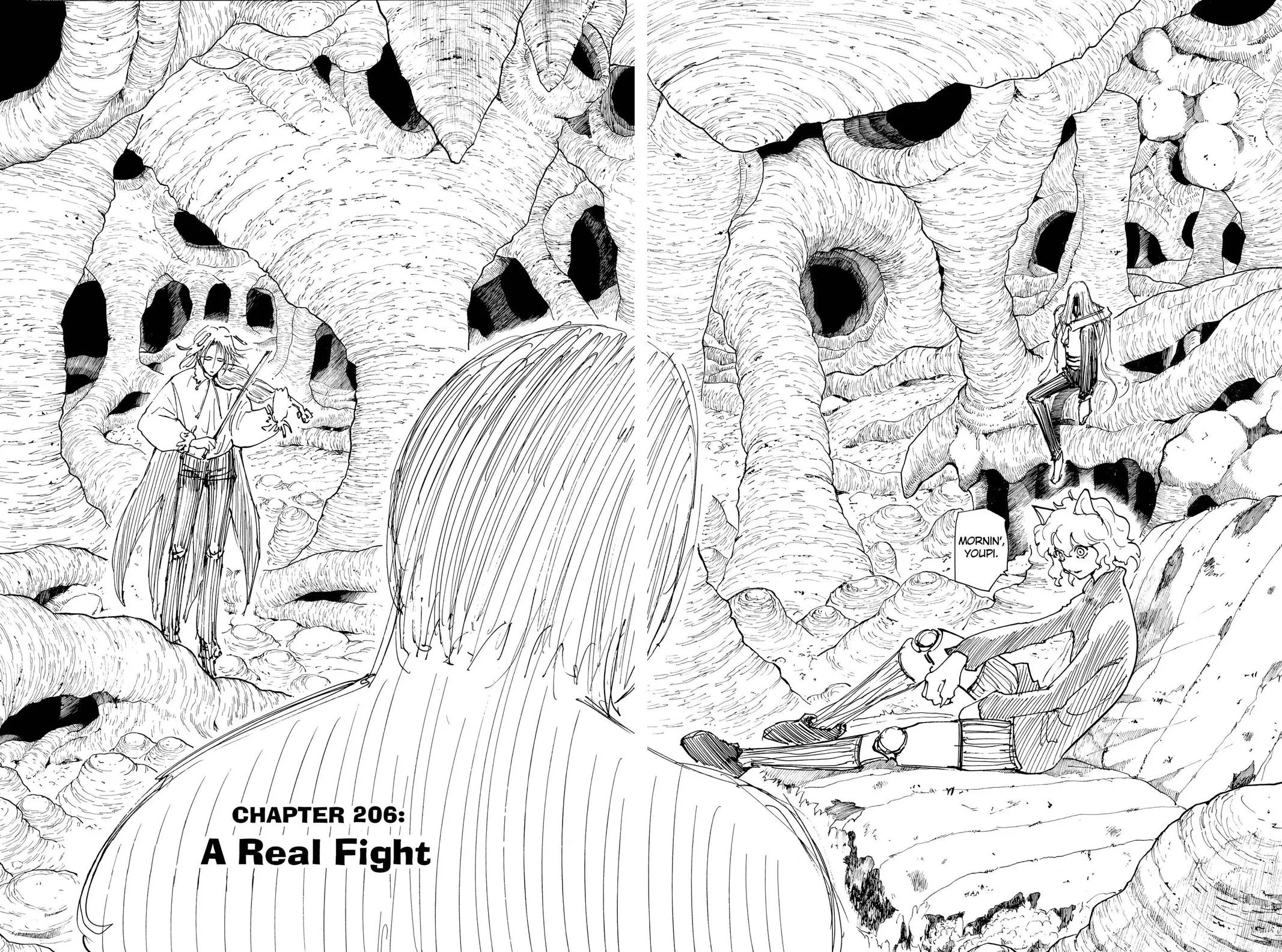 Hunter x Hunter - Chapter 206 - Page 4