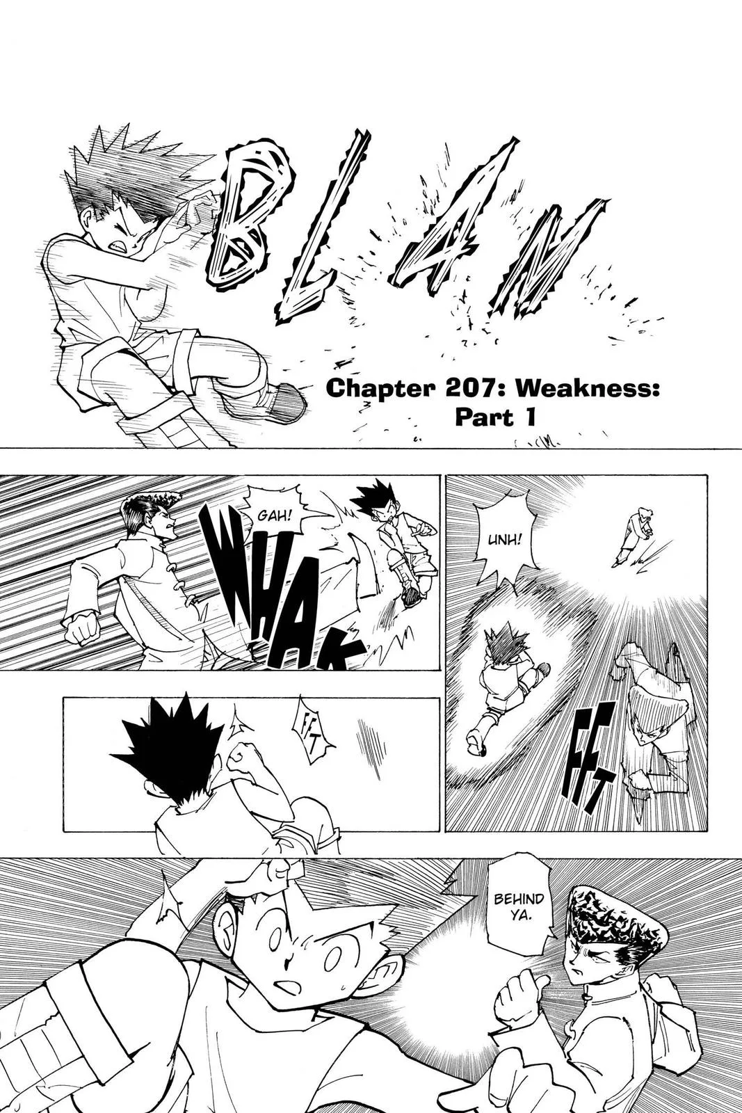 Hunter x Hunter - Chapter 207 - Page 1