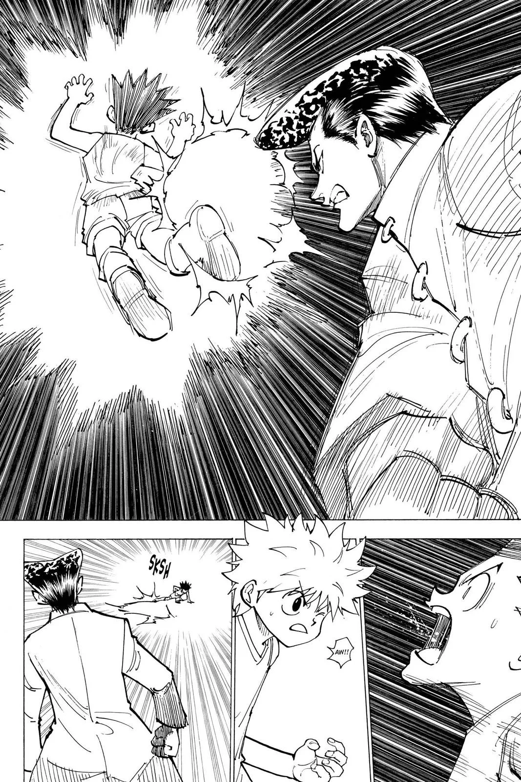Hunter x Hunter - Chapter 207 - Page 2