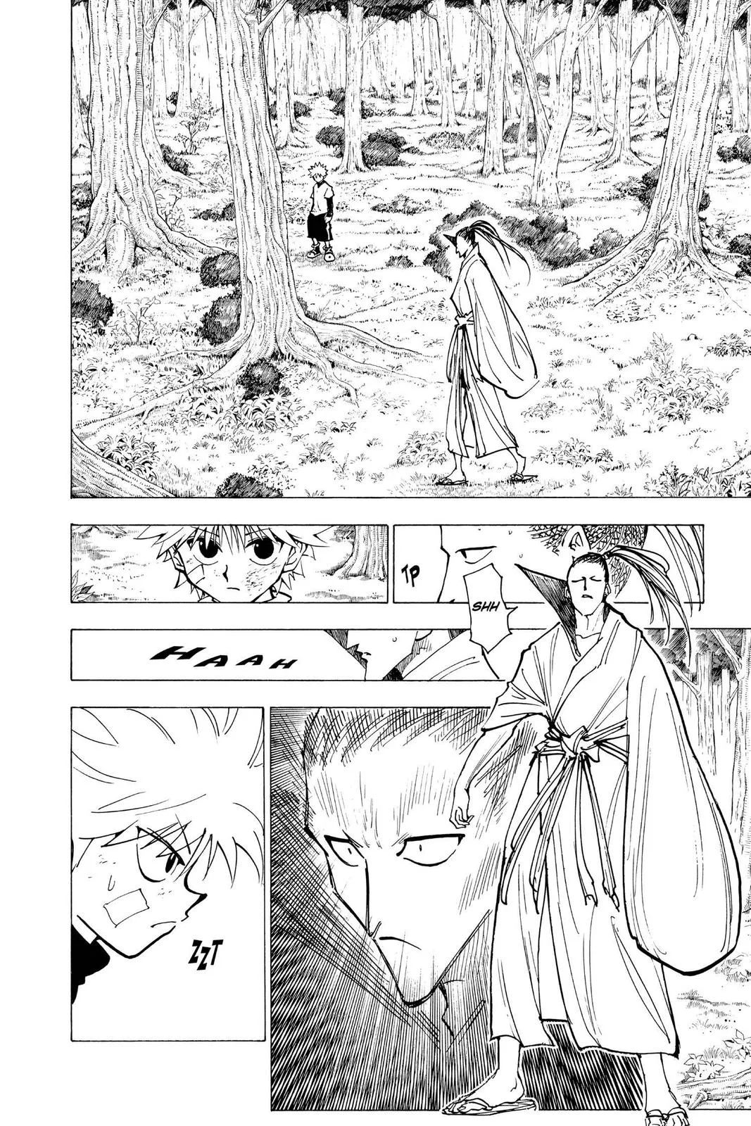 Hunter x Hunter - Chapter 211 - Page 14