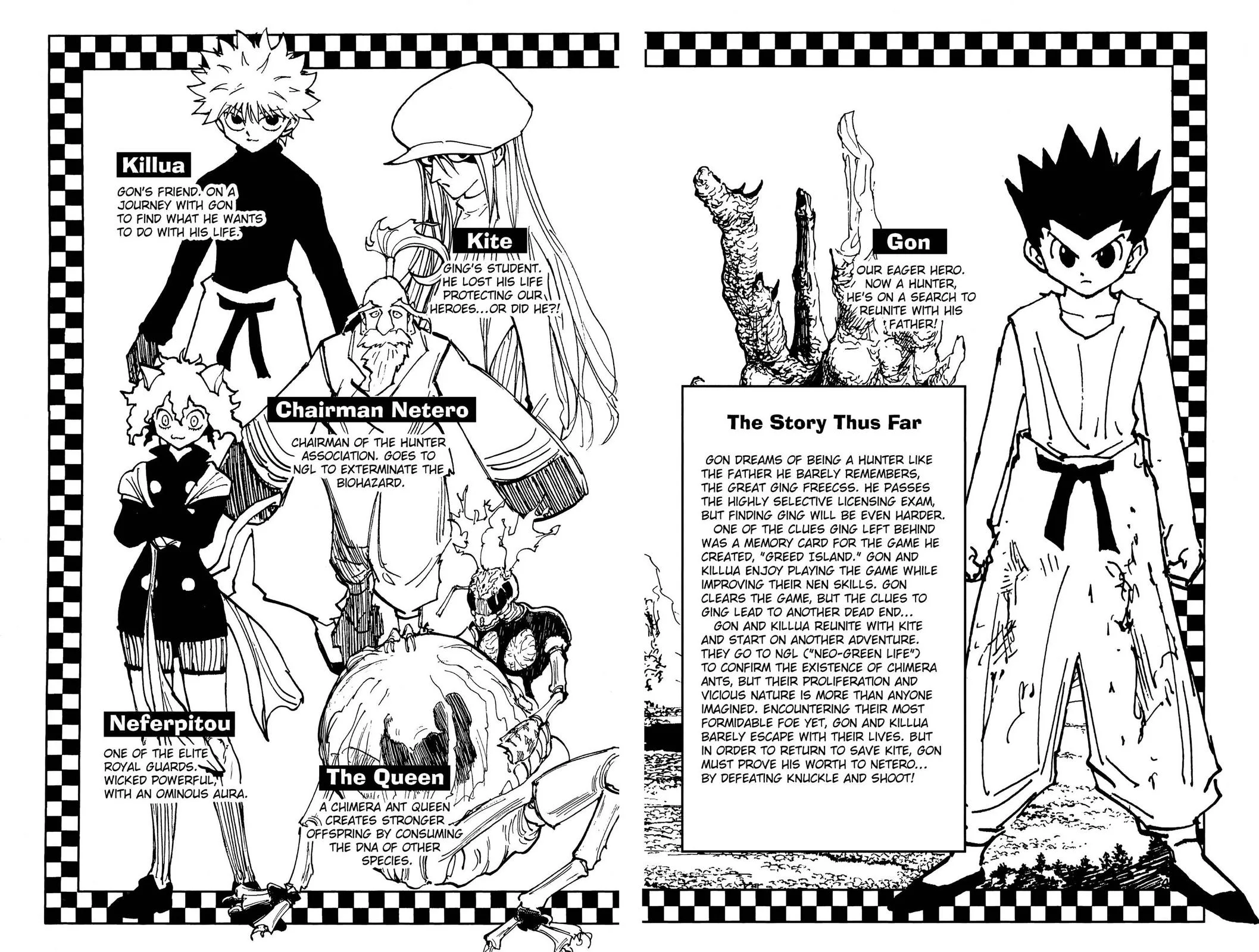 Hunter x Hunter - Chapter 212 - Page 5