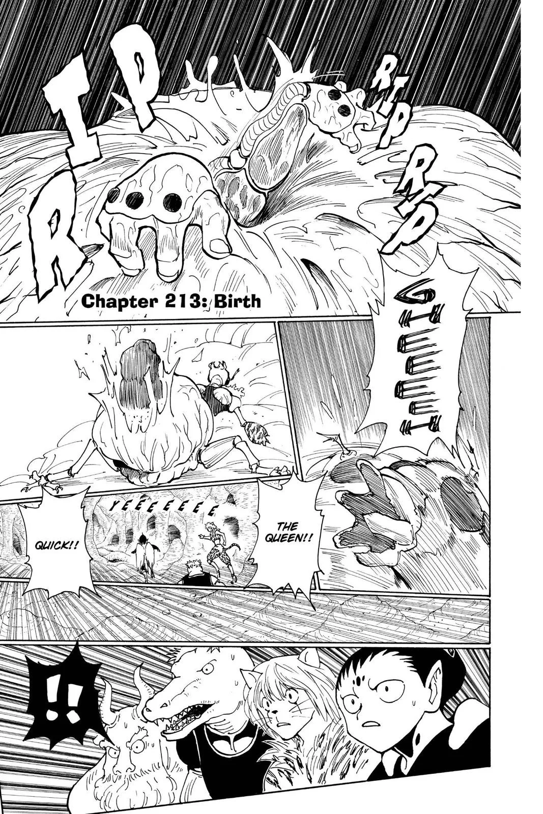 Hunter x Hunter - Chapter 213 - Page 1