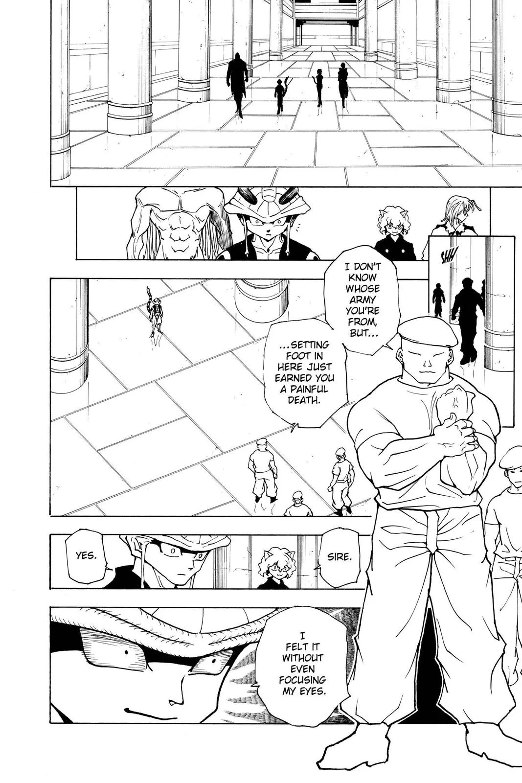 Hunter x Hunter - Chapter 216 - Page 14