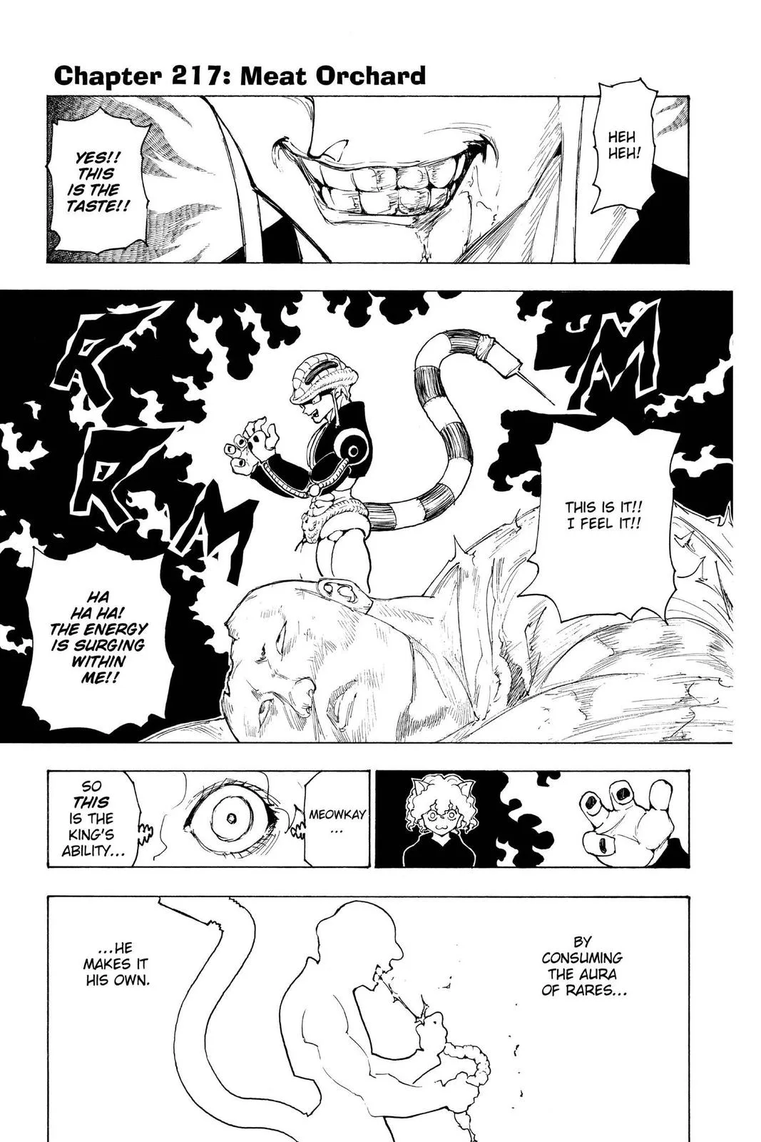Hunter x Hunter - Chapter 217 - Page 1