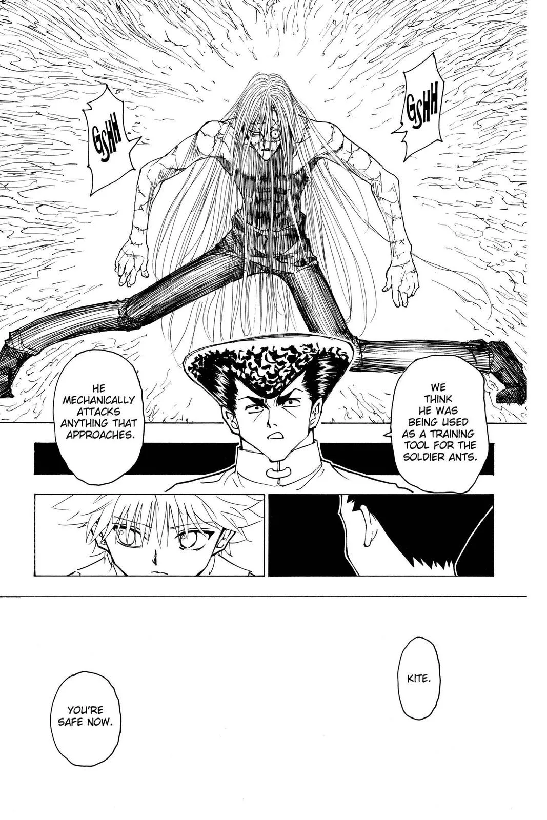 Hunter x Hunter - Chapter 222 - Page 5